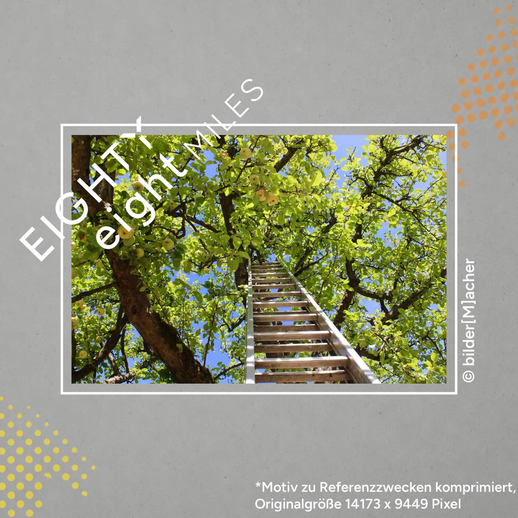 Wandbild einer Leiter welche in einen Apfelbaum geht