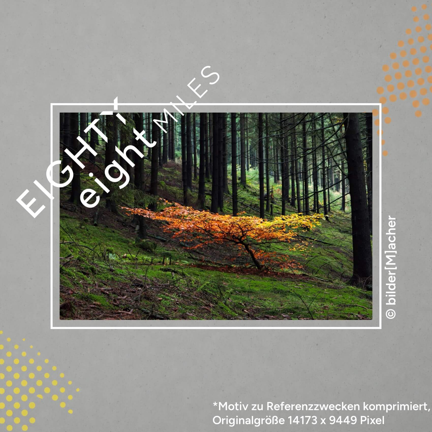 Wandbild eines einzelnen orangenen Baums in einem Wald