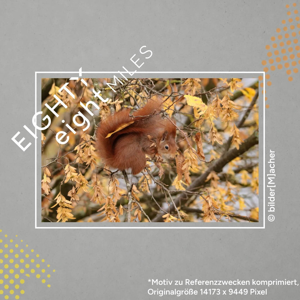 Wandbild eines Eichhrnchens in einem Herbstbaum
