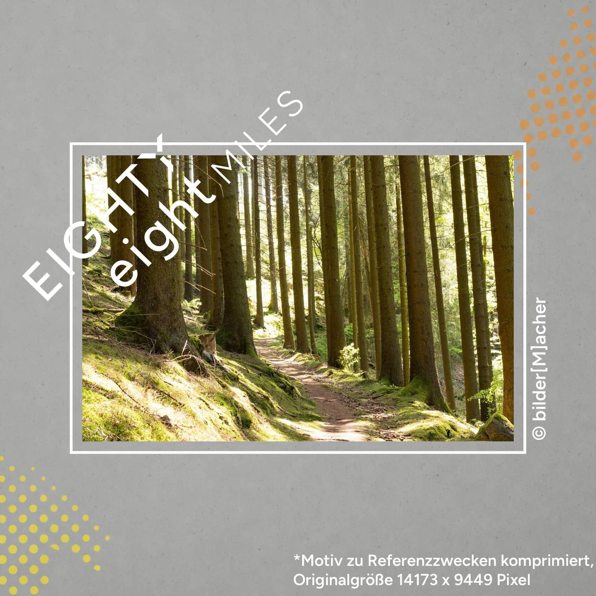 Wandbld eines Waldes mit kleinem Waldweg