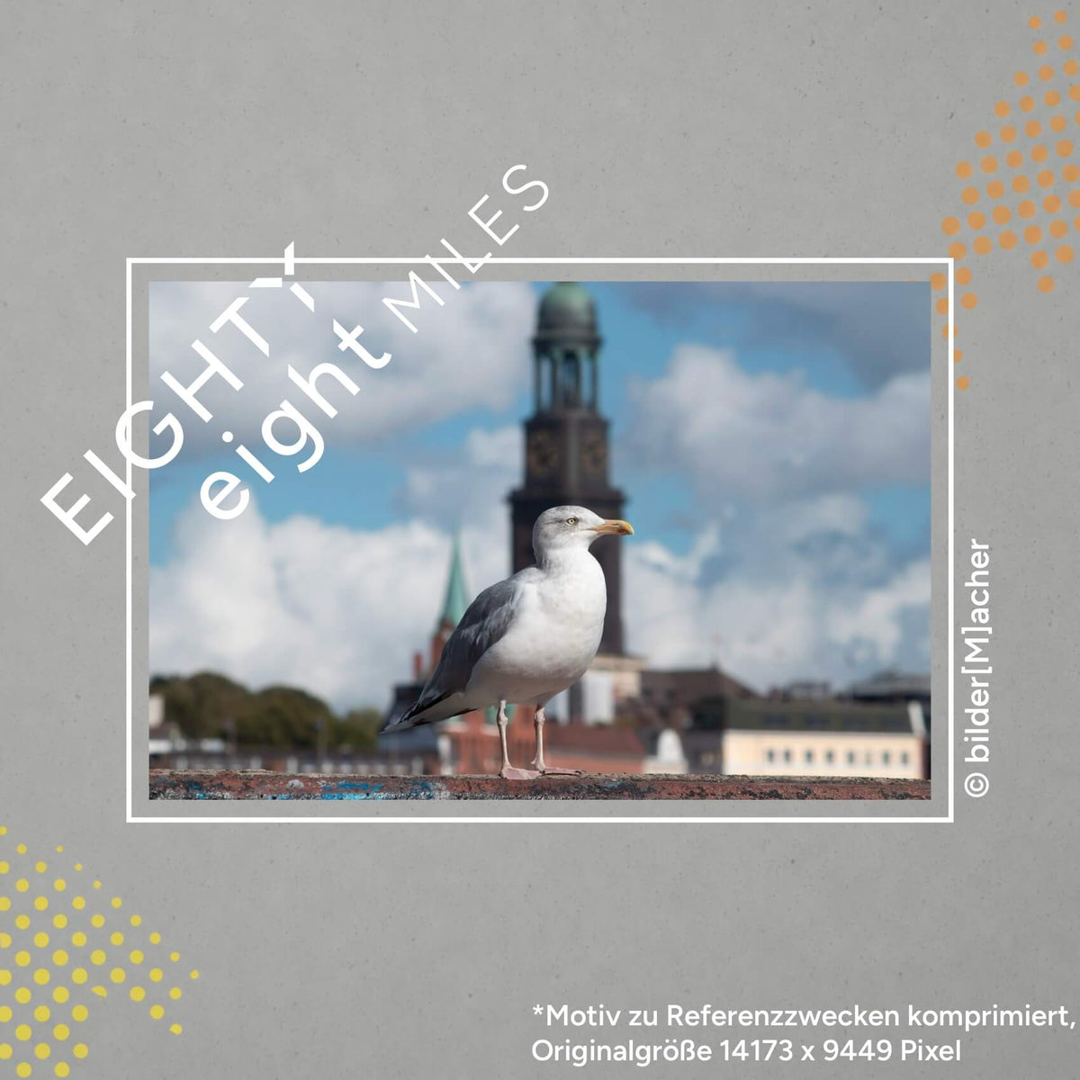 Wandbild einer Möwe vor der sankt Michaeliskirche in Hamburg