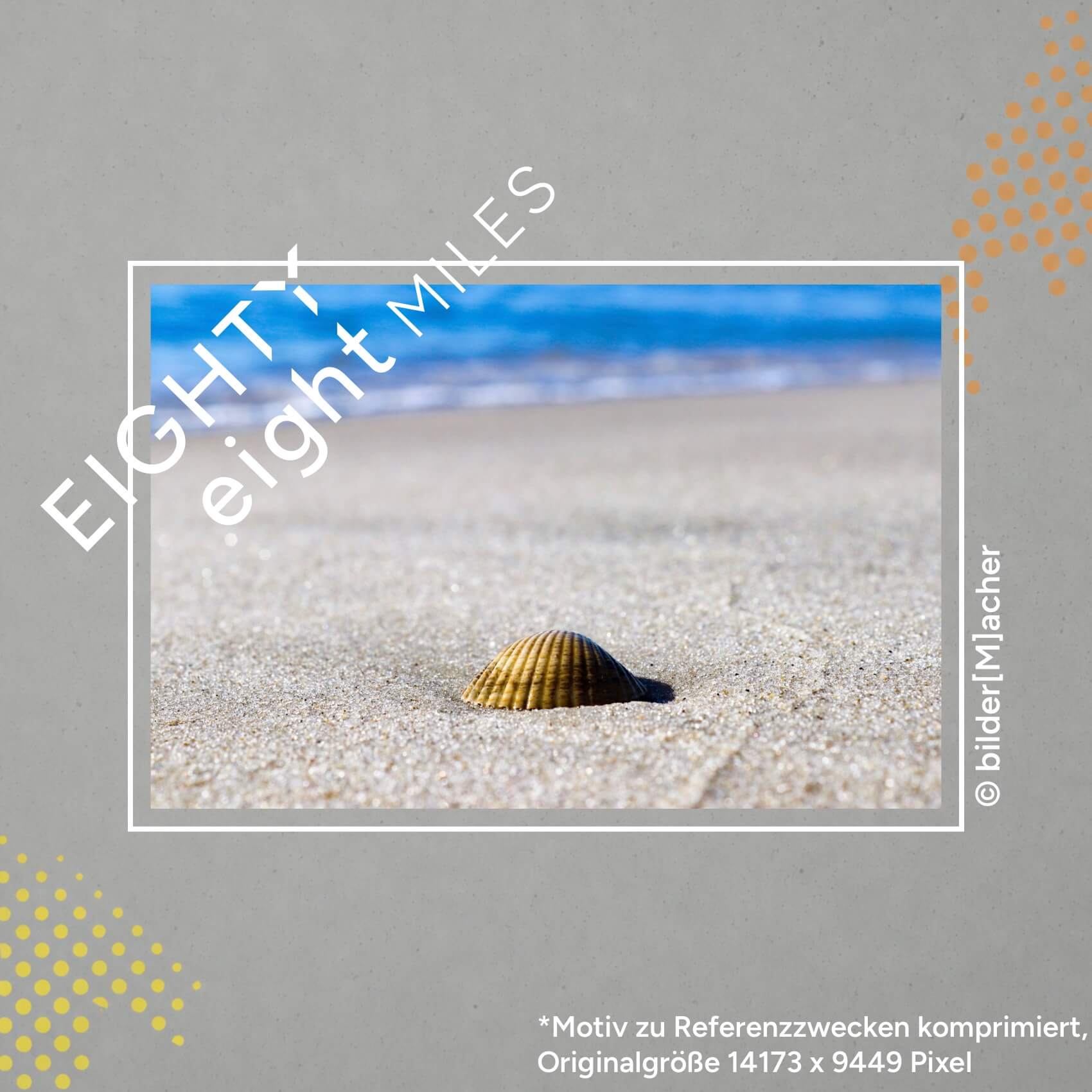 Wandbild einer einzelnen Muschel an einem Strand