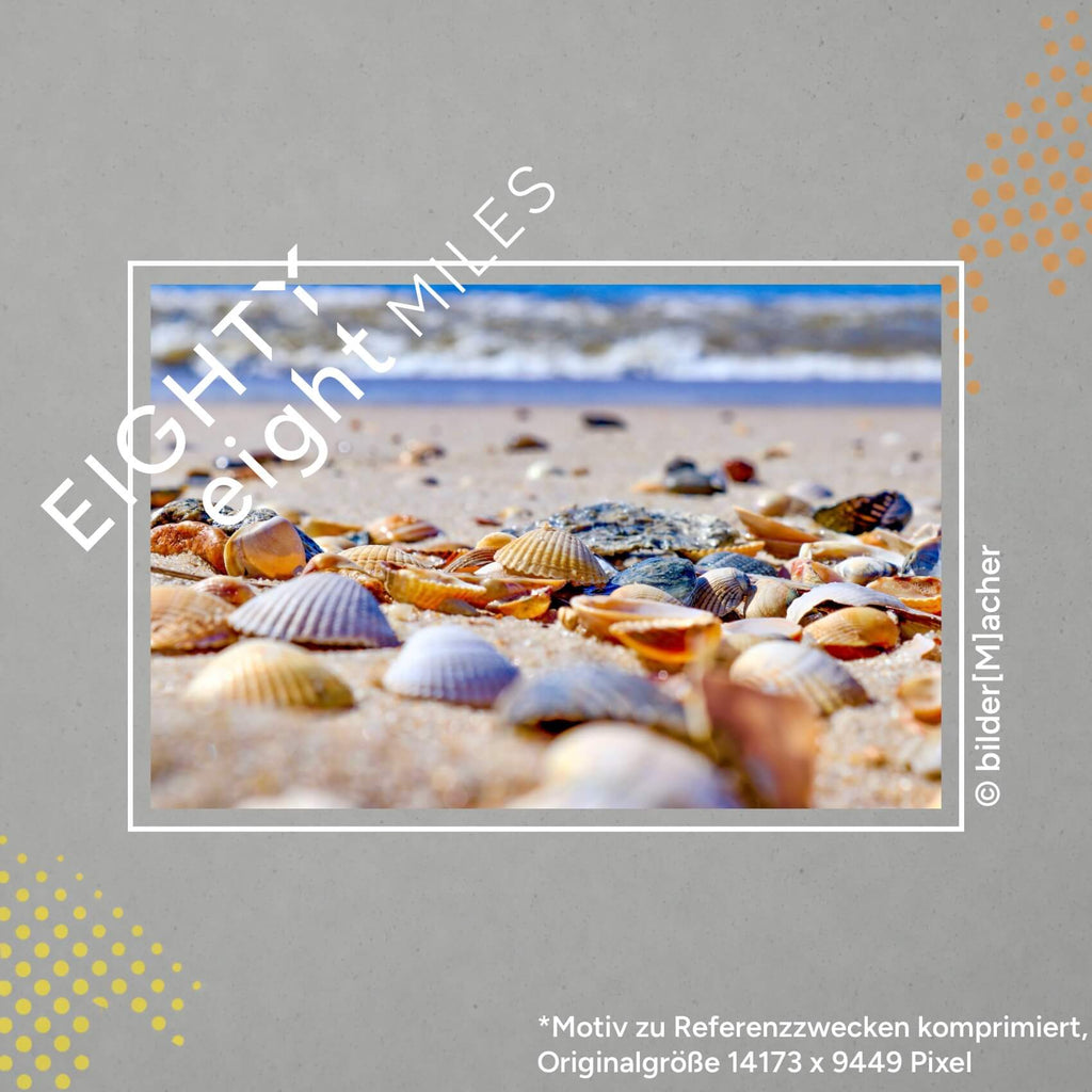 Wandbild von vielen Muscheln am strand mit meer im Hintergrund