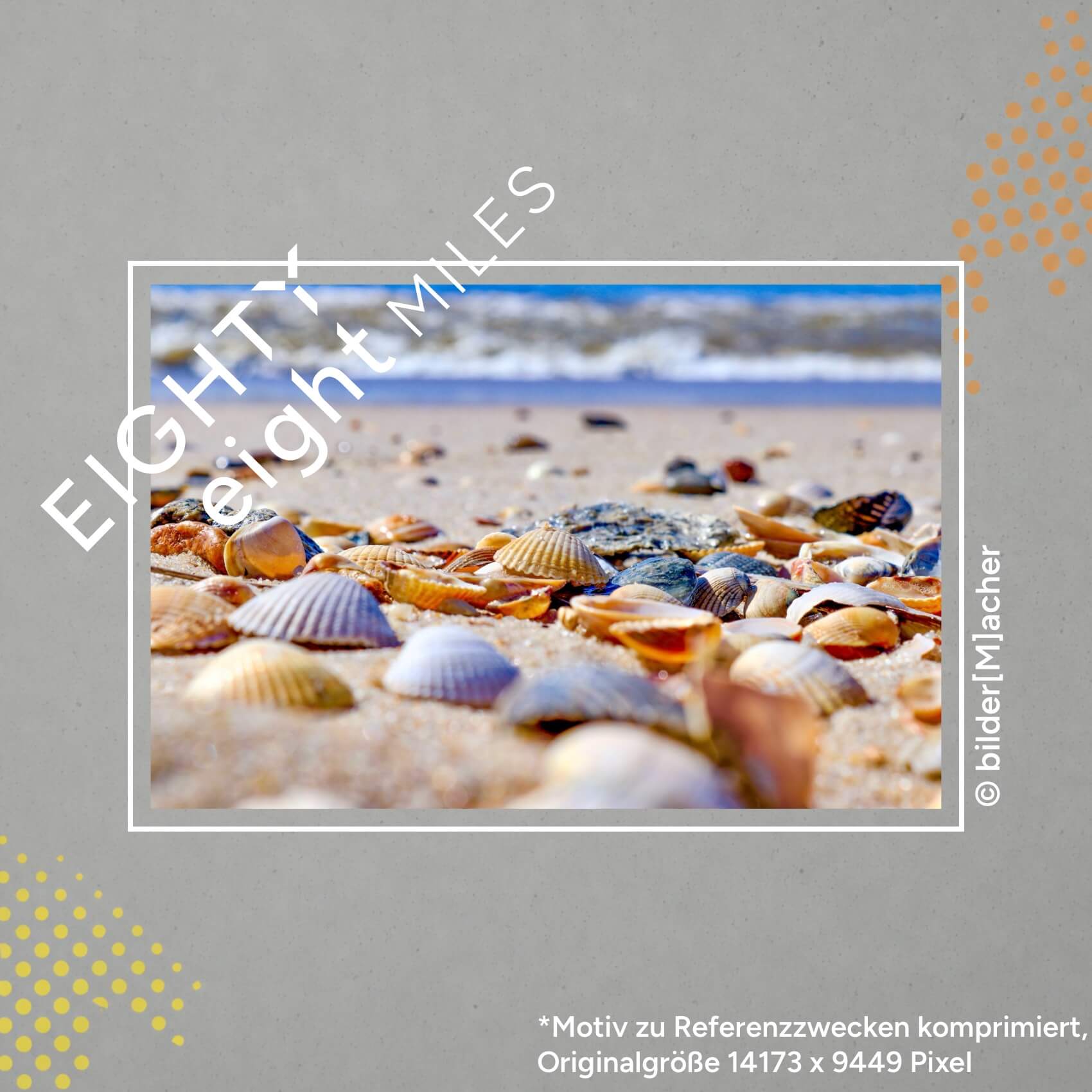 Wandbild von vielen Muscheln am strand mit meer im Hintergrund