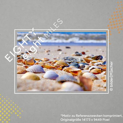Wandbild von vielen Muscheln am strand mit meer im Hintergrund