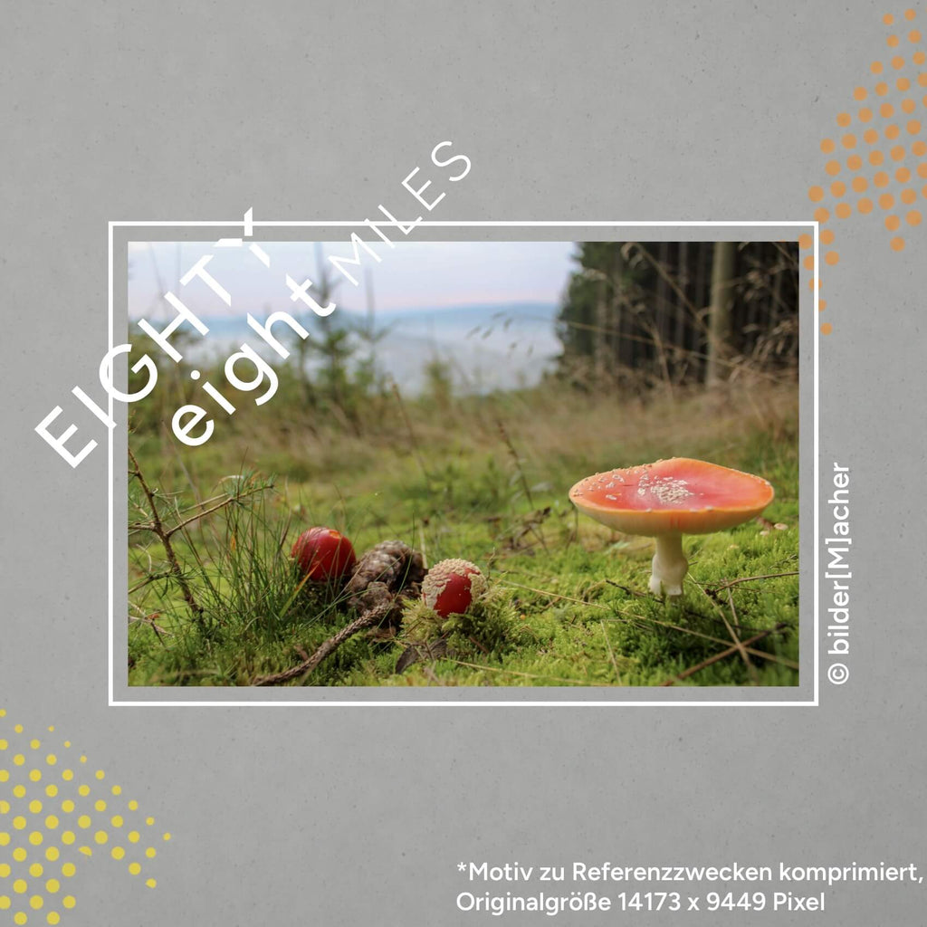 Wandbild eines Waldrandes, im Vordergrund ist ein Pilz