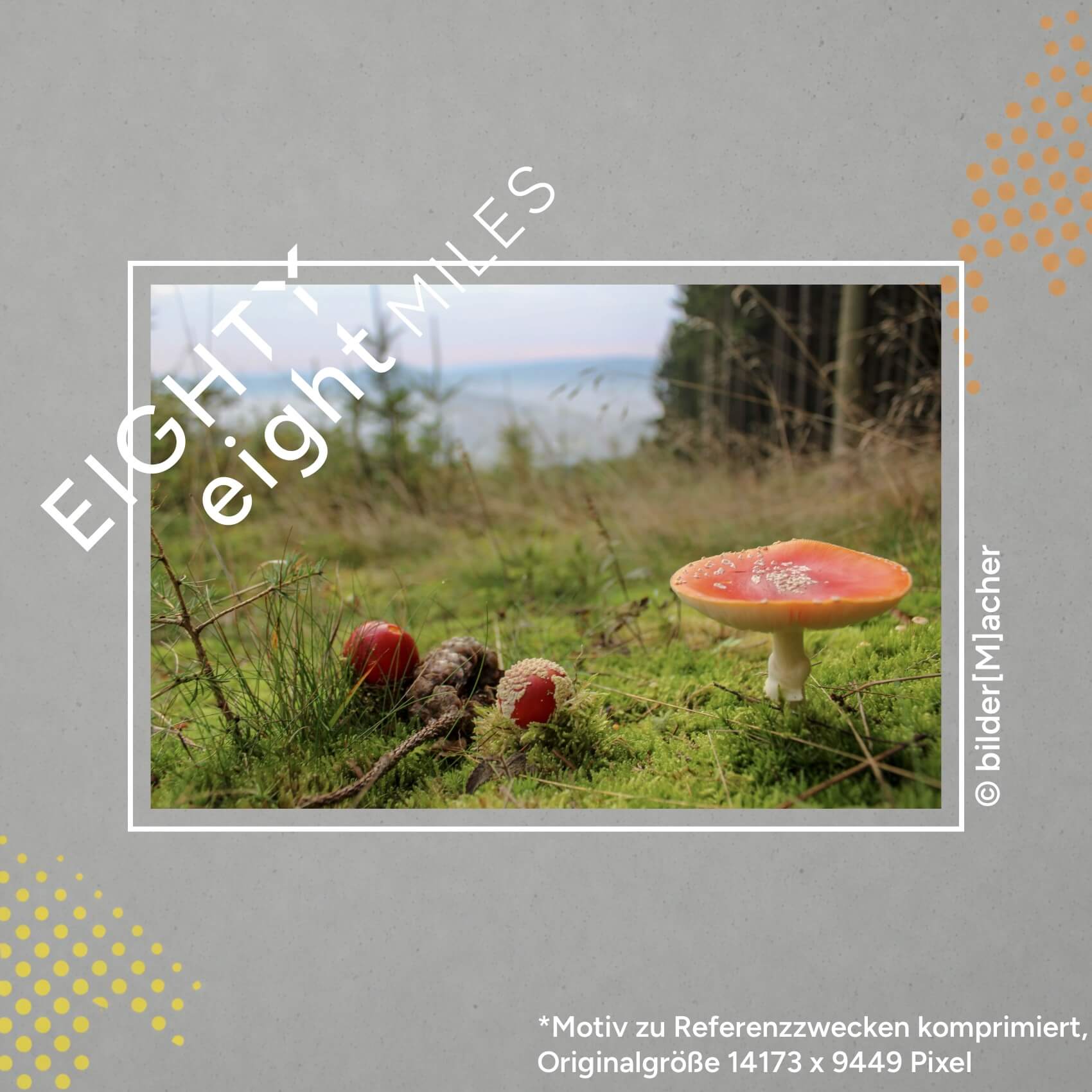 Wandbild eines Waldrandes, im Vordergrund ist ein Pilz