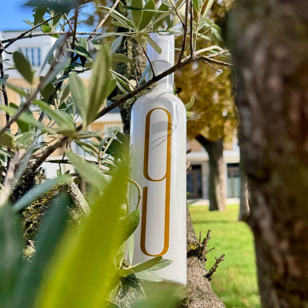 9 Oliveres Olivenöl in einem Olivenbaum