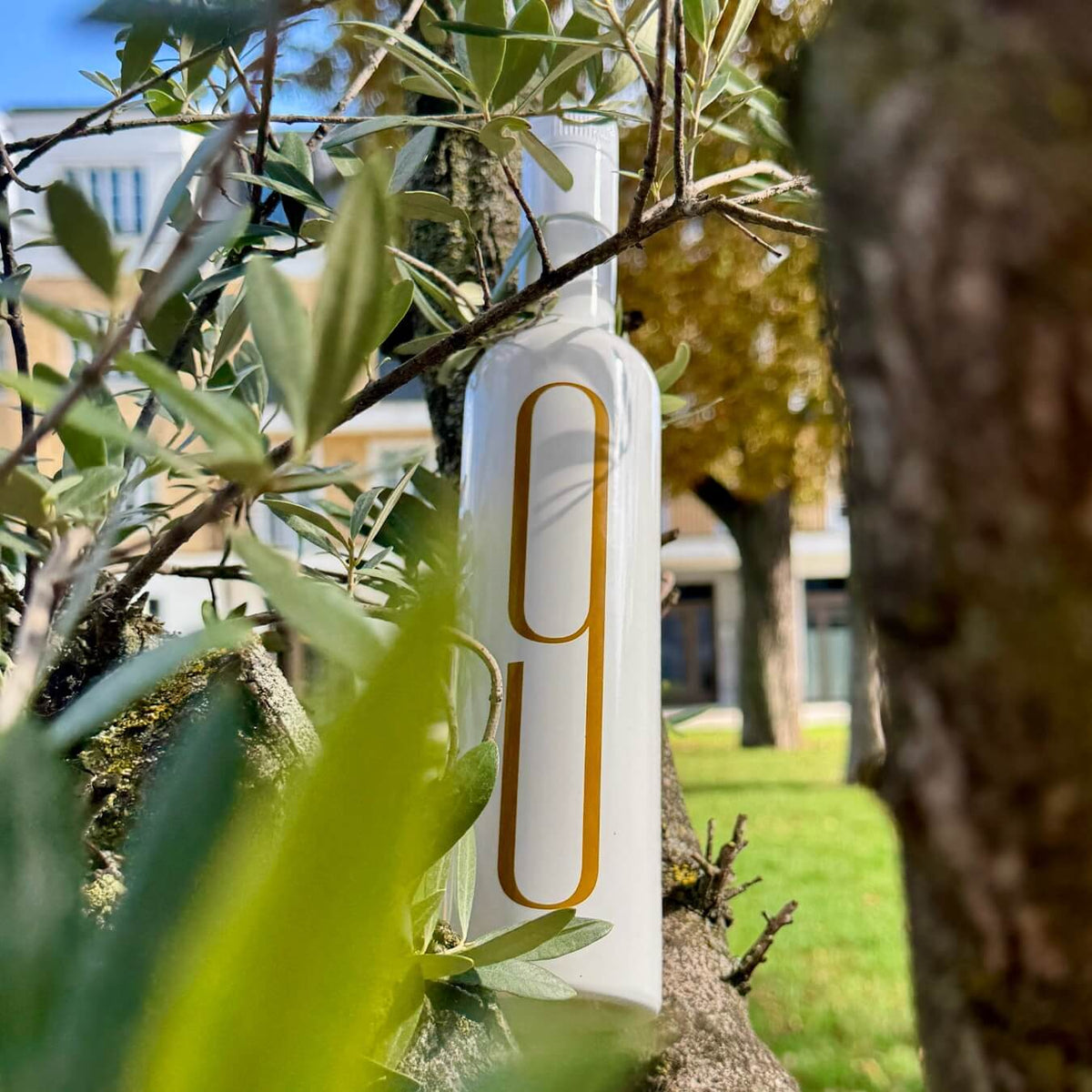9 Oliveres Olivenöl in einem Olivenbaum