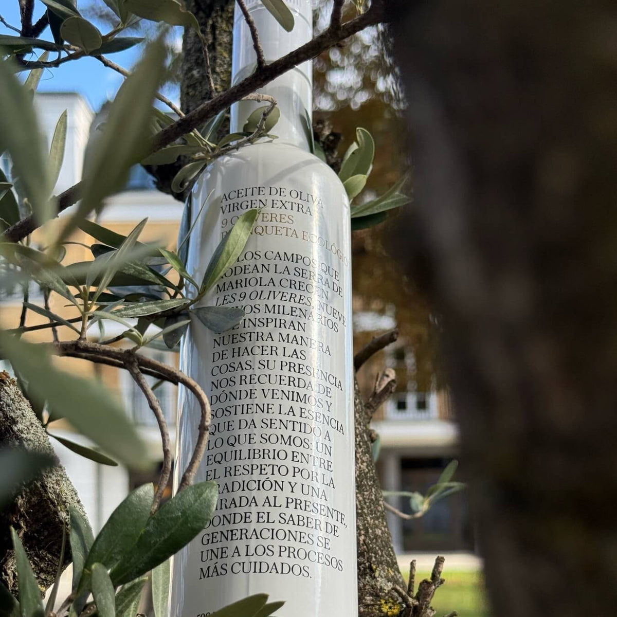 Rückseite des 9 Oliveres Olivenöl - Bio